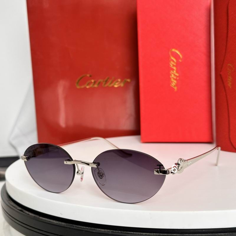 Cartier CT0504S 58 18-135 e07