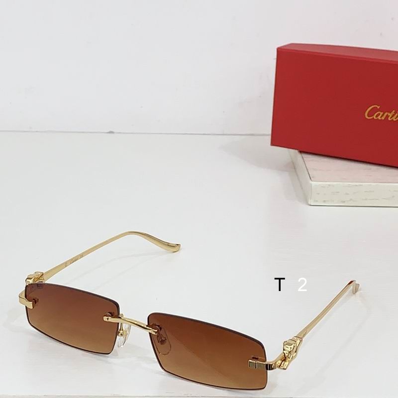 Cartier CT0505S 58 16-135 b03