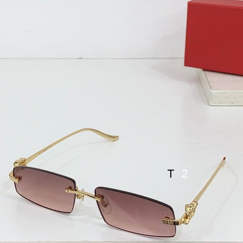 Cartier CT0505S 58 16-135 b04