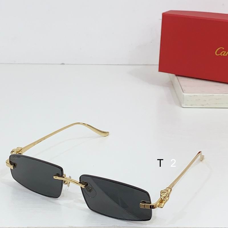 Cartier CT0505S 58 16-135 b05