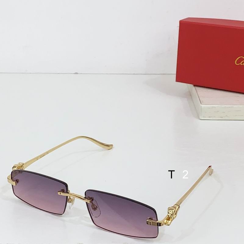 Cartier CT0505S 58 16-135 b06