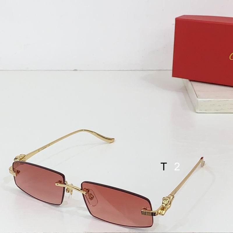Cartier CT0505S 58 16-135 b07
