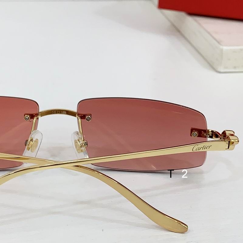 Cartier CT0505S 58 16-135 b08