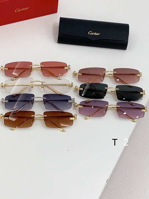 Cartier CT0505S 58 16-135 b09