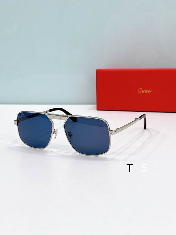 Cartier CT0569S 57 17-145 F03