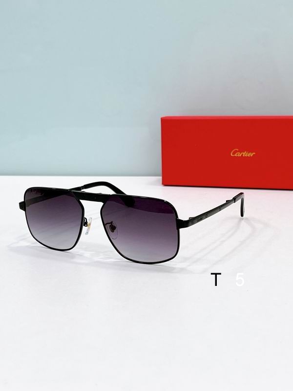 Cartier CT0569S 57 17-145 F04