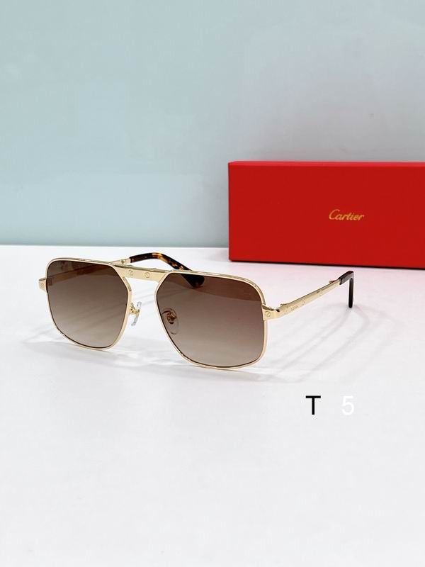 Cartier CT0569S 57 17-145 F06