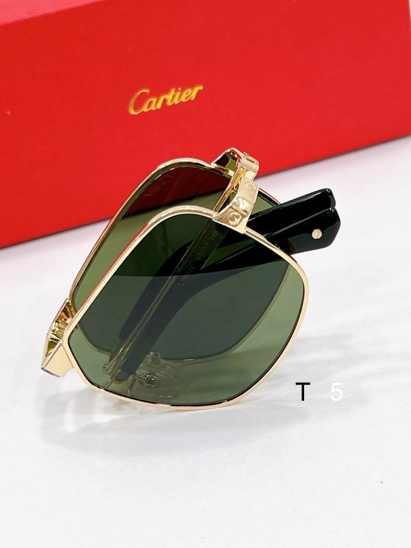 Cartier CT0569S 57 17-145 F08