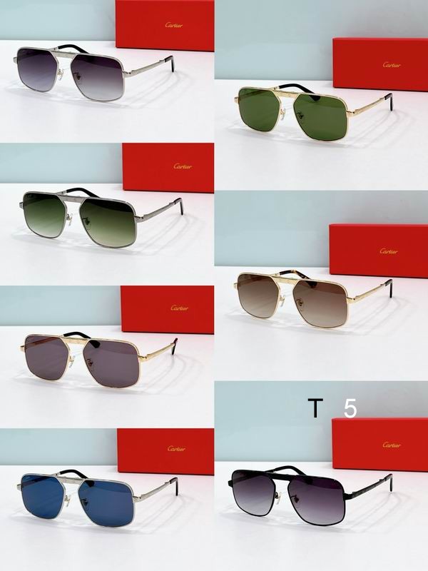 Cartier CT0569S 57 17-145 F09