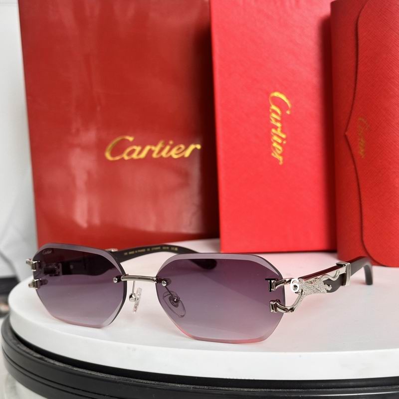 Cartier CT0594S 58 14-143 e05