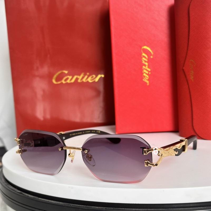 Cartier CT0594S 58 14-143 e06