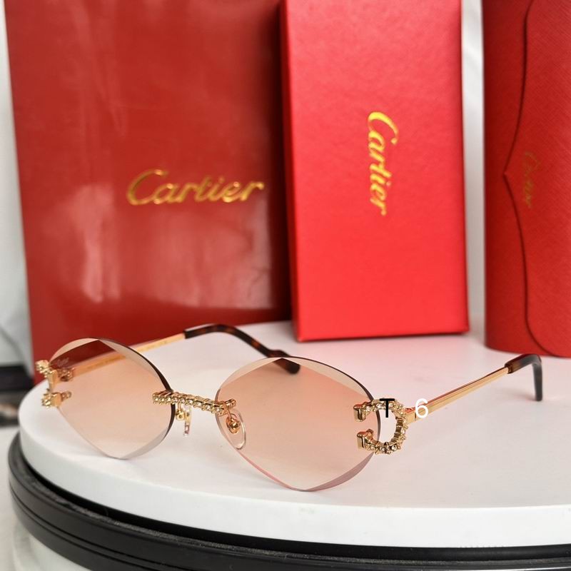 Cartier CT0601S 58 14-143 e02
