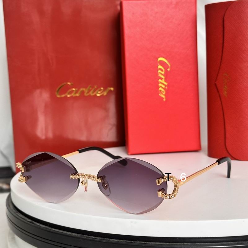 Cartier CT0601S 58 14-143 e04