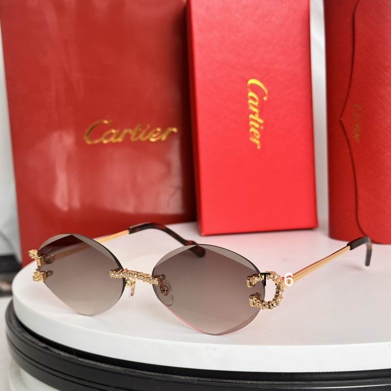 Cartier CT0601S 58 14-143 e06