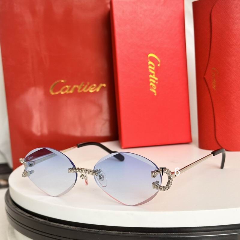 Cartier CT0601S 58 14-143 e07