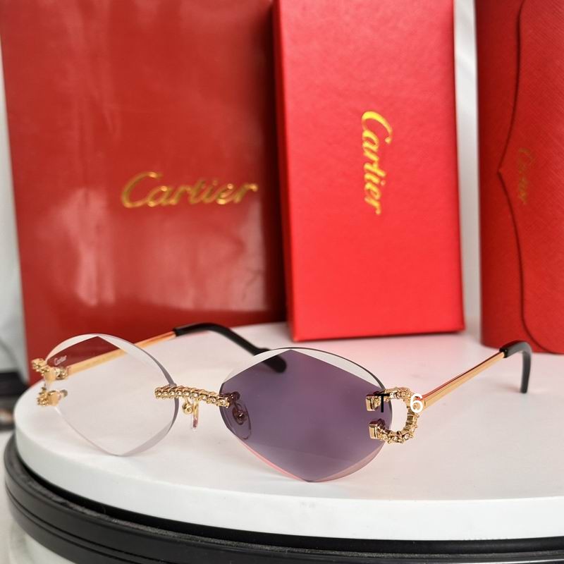 Cartier CT0601S 58 14-143 e09