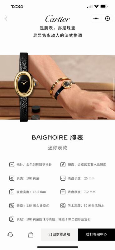 Cartier M18X24mm L25X32mm 61 (38)