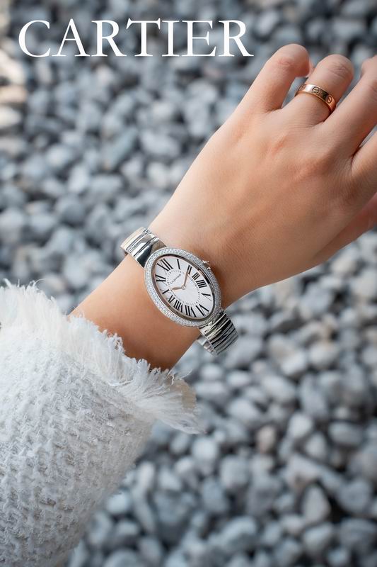 Cartier S32X25mm L40X29mm 51 (7)