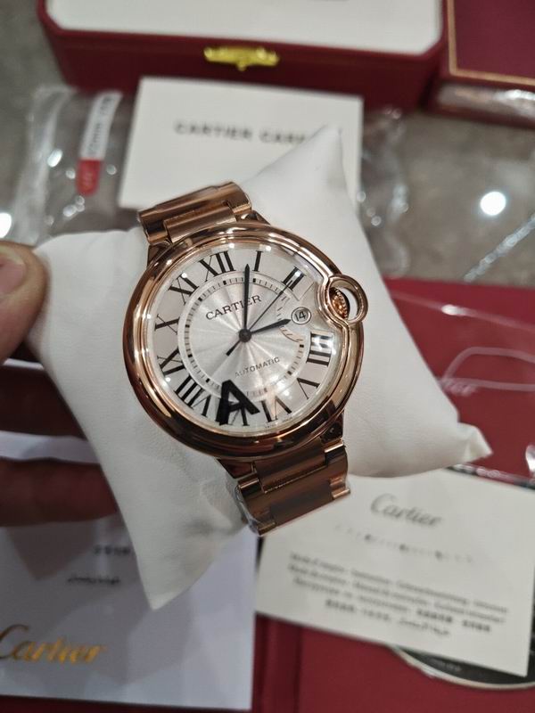 Cartier watch 15 (24)