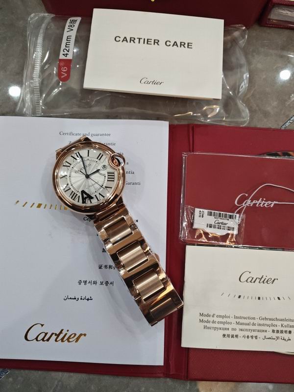 Cartier watch 15 (25)