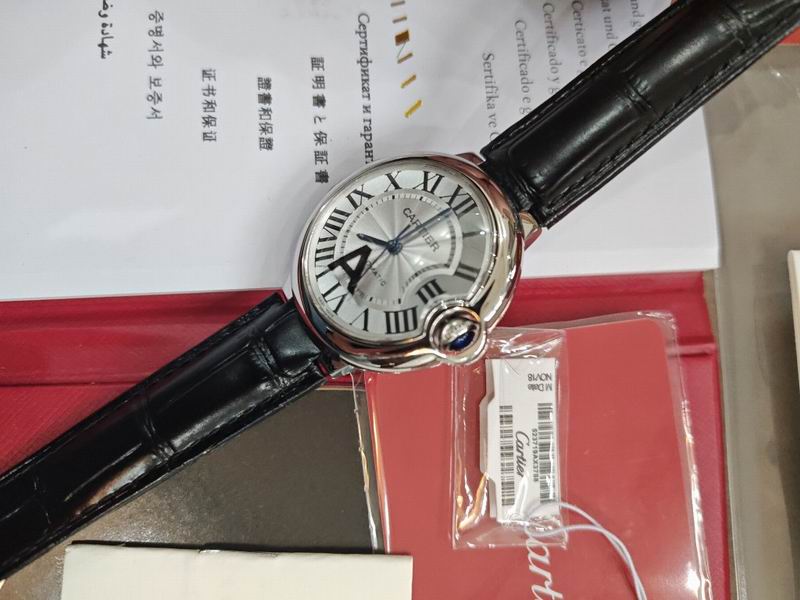 Cartier watch 16 (15)