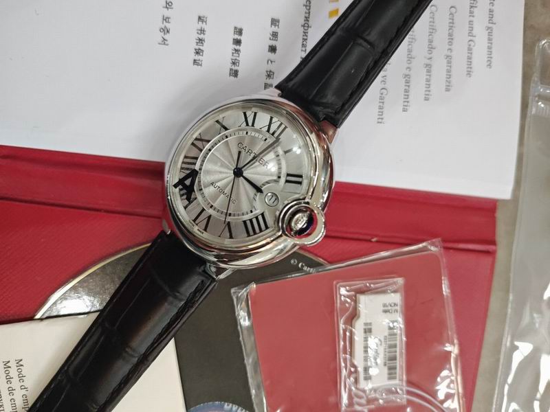 Cartier watch 16 (24)