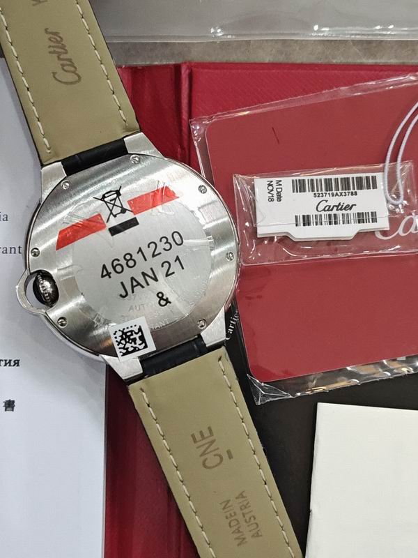 Cartier watch 16 (25)