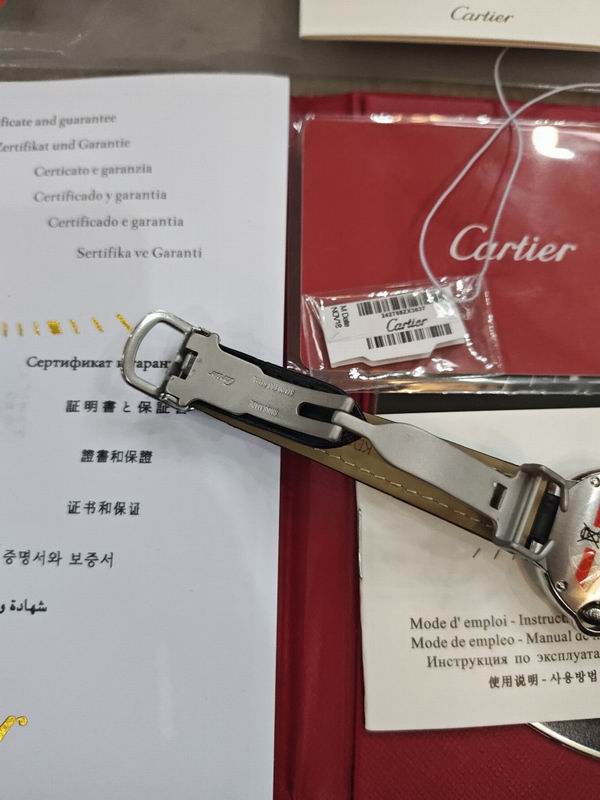 Cartier watch 16 (34)