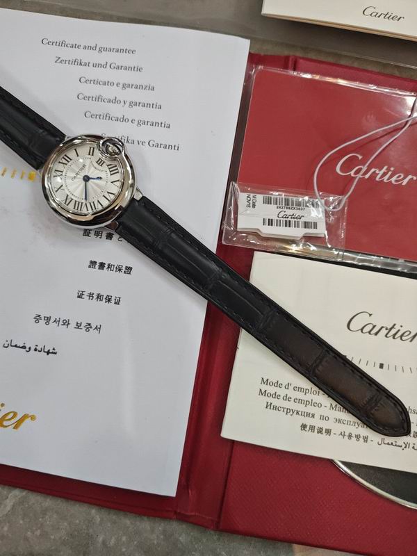Cartier watch 16 (40)