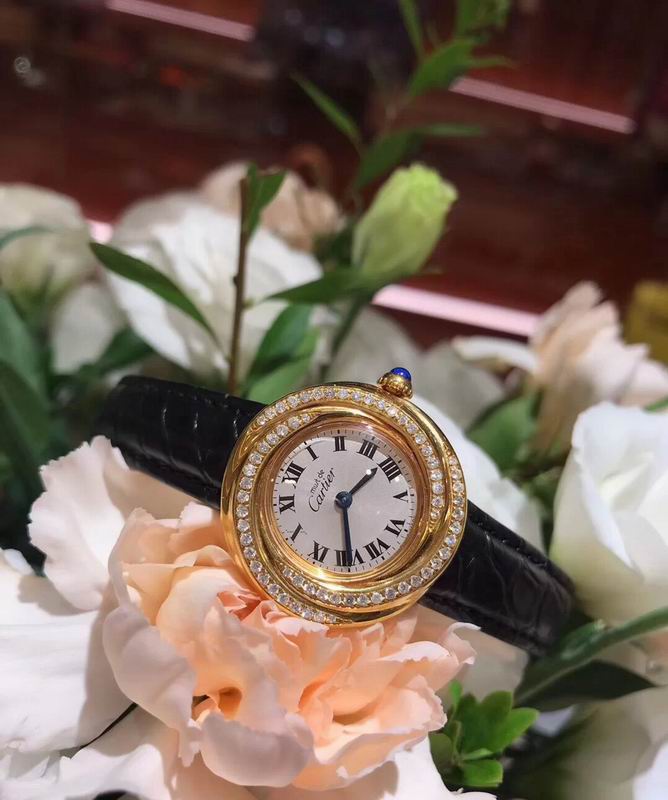 Cartier watch 62 (3)