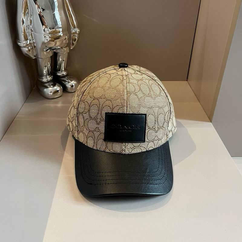 Coach cap dx (9)