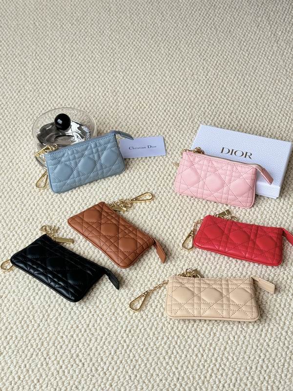 Dior Card bag  (1)