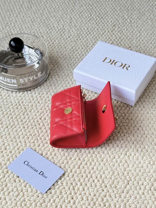 Dior Card bag  (10)