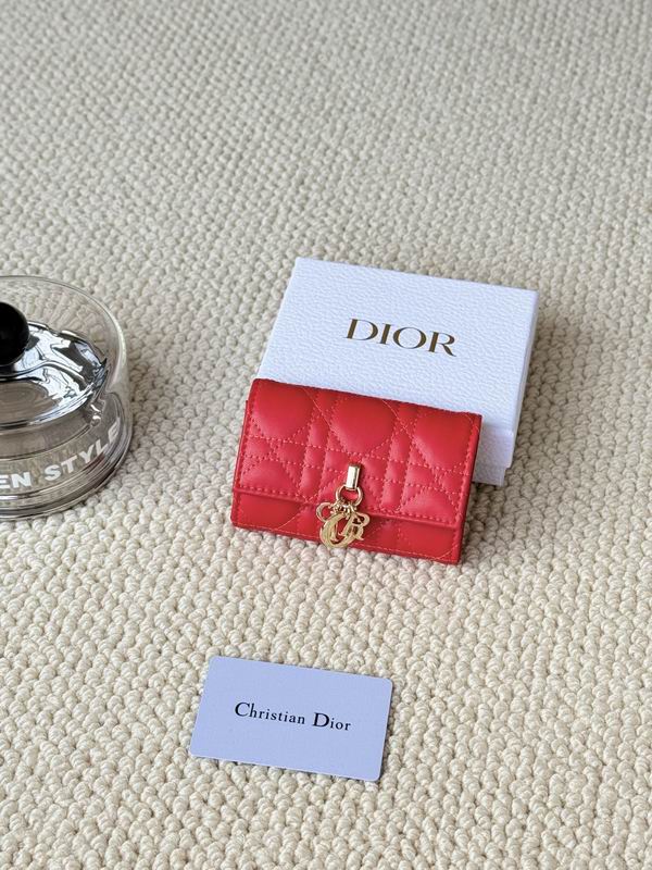 Dior Card bag  (13)