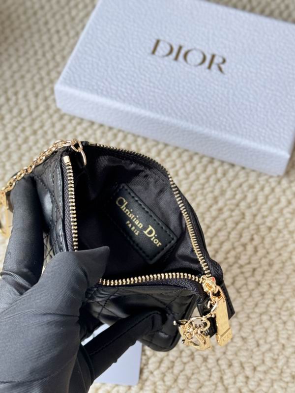 Dior Card bag  (14)