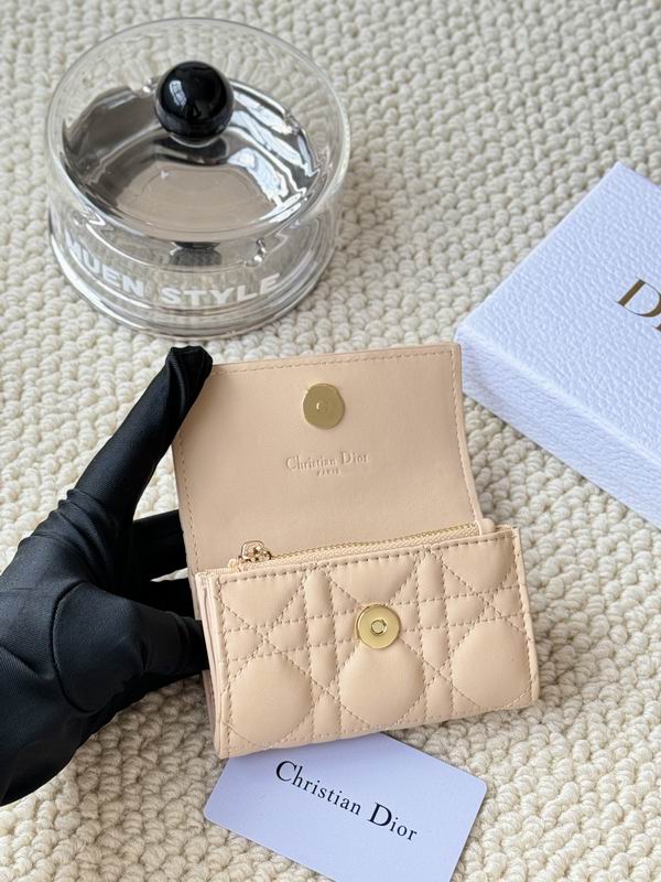 Dior Card bag  (15)