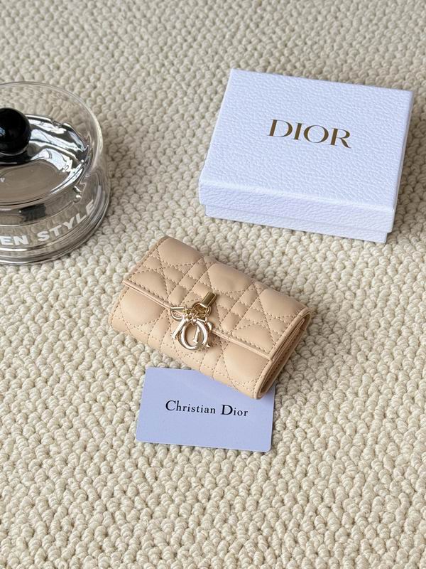 Dior Card bag  (17)