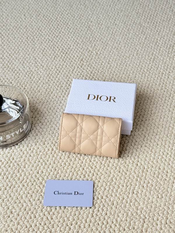 Dior Card bag  (18)