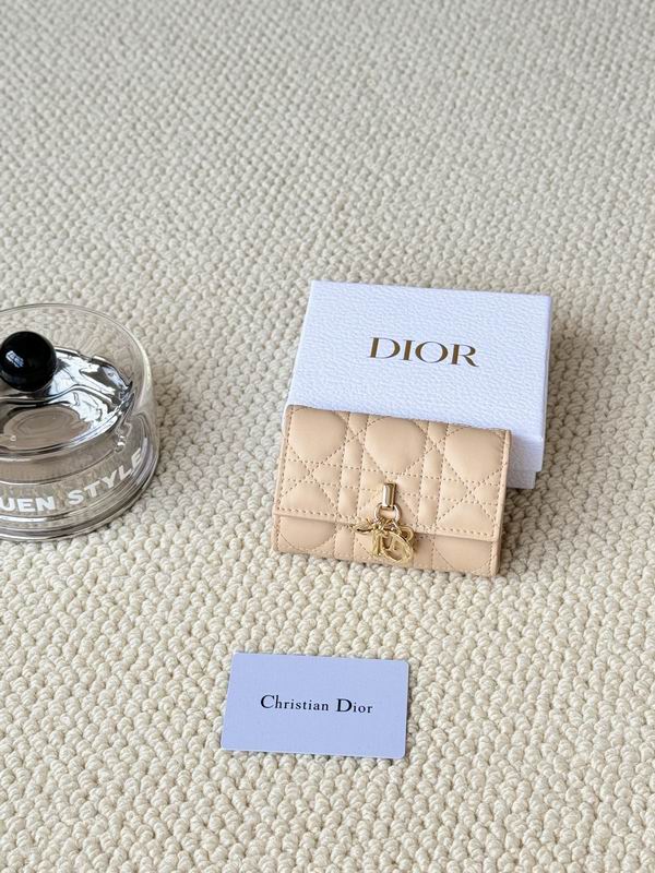 Dior Card bag  (19)