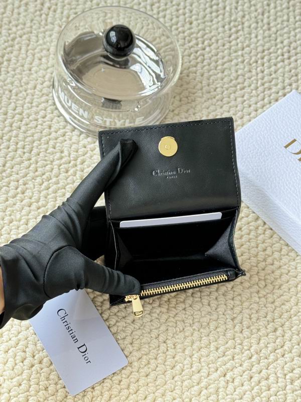 Dior Card bag  (20)