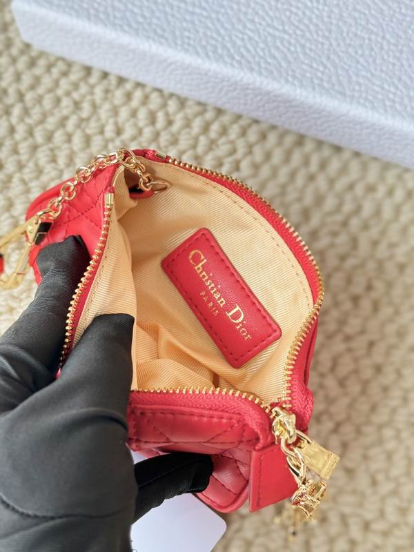 Dior Card bag  (20)