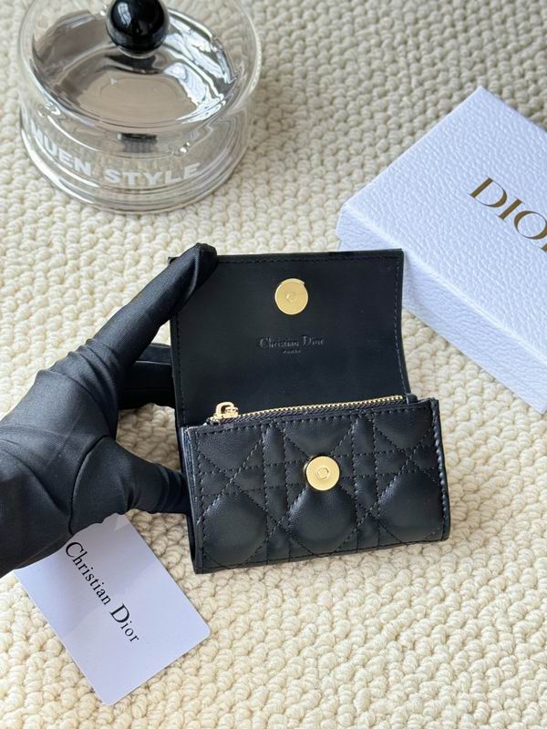 Dior Card bag  (21)