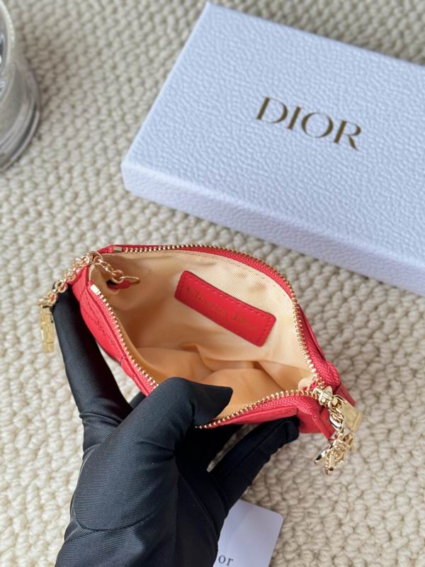 Dior Card bag  (21)