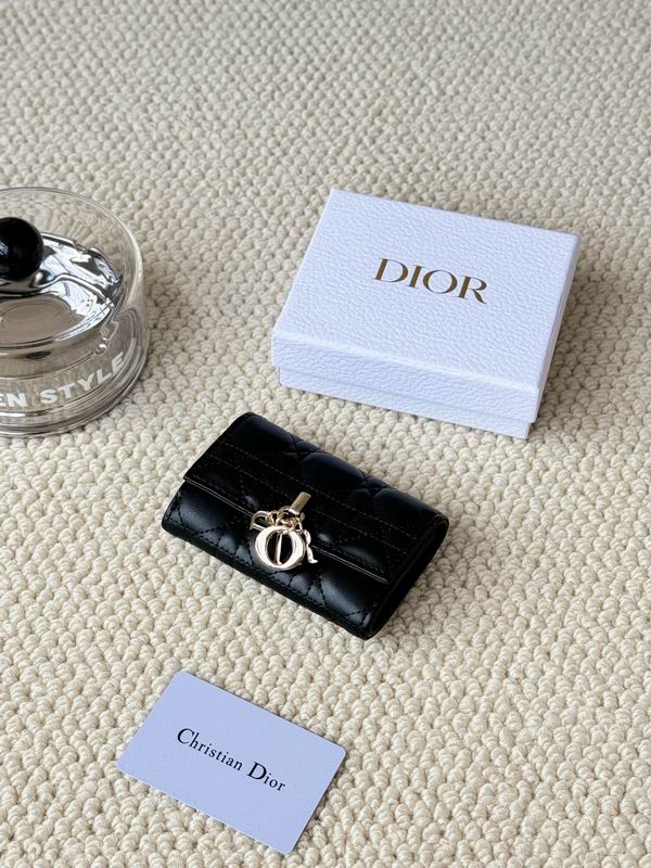 Dior Card bag  (23)