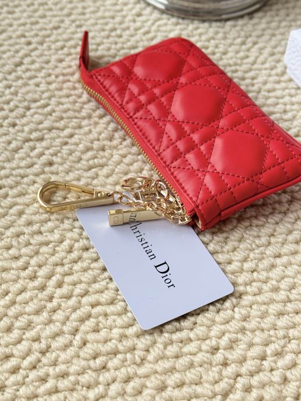 Dior Card bag  (23)