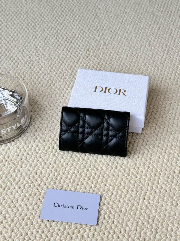 Dior Card bag  (24)