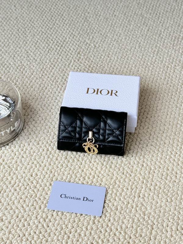 Dior Card bag  (25)