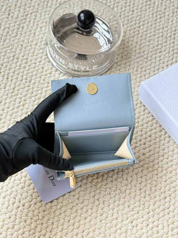 Dior Card bag  (26)