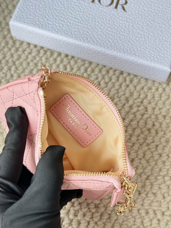 Dior Card bag  (26)