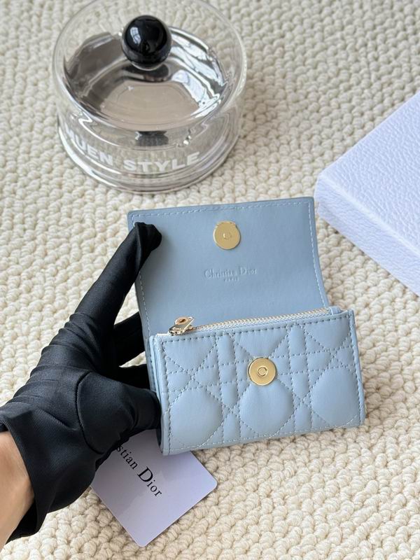Dior Card bag  (27)